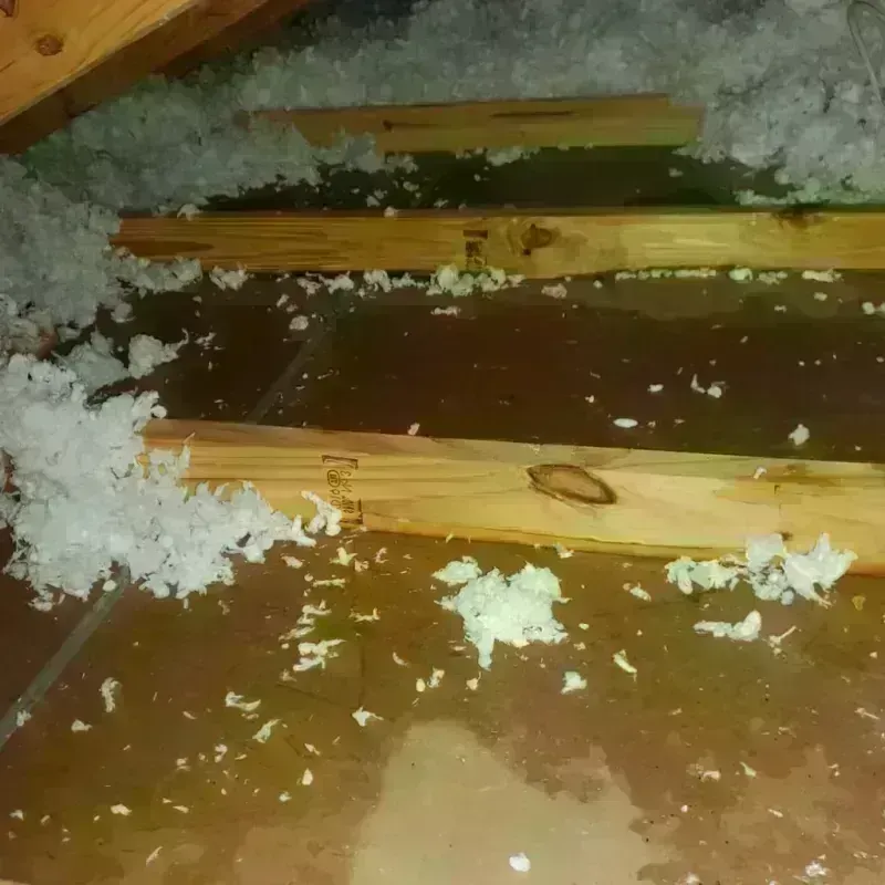 Attic Water Damage in Glen Alpine, NC