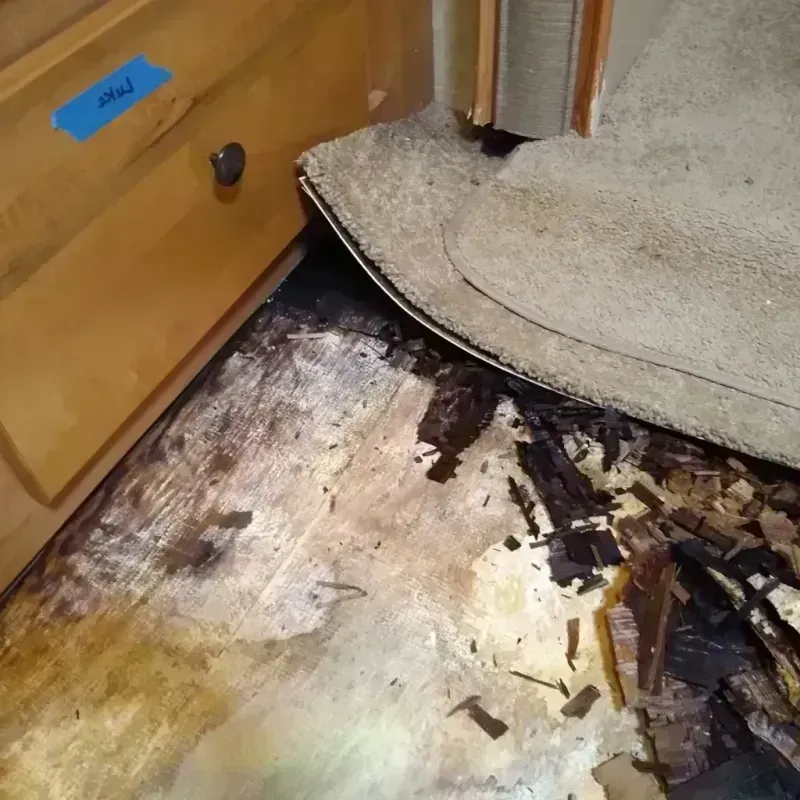 Wood Floor Water Damage in Glen Alpine, NC